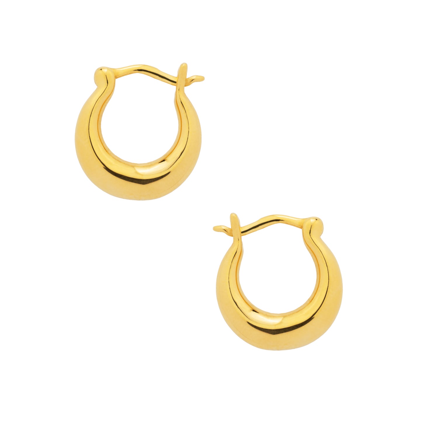 Horseshoe Hoops