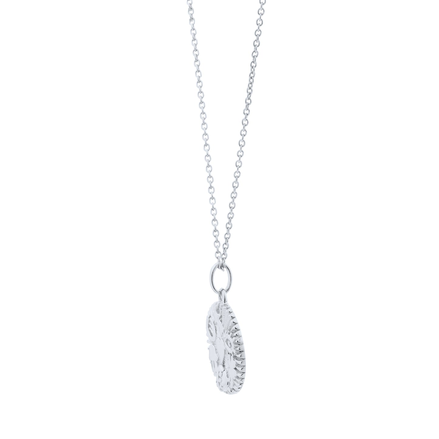 Lucky Charm Coin Necklace