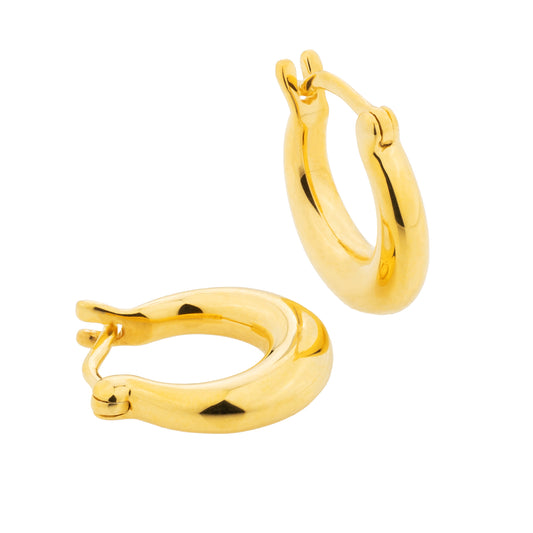 Horseshoe Hoops